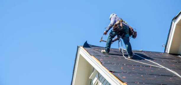 Best Roof Gutter Cleaning  in Midlothian, VA